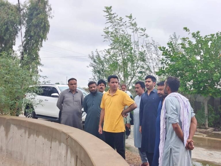 FB_IMG_1762067485243